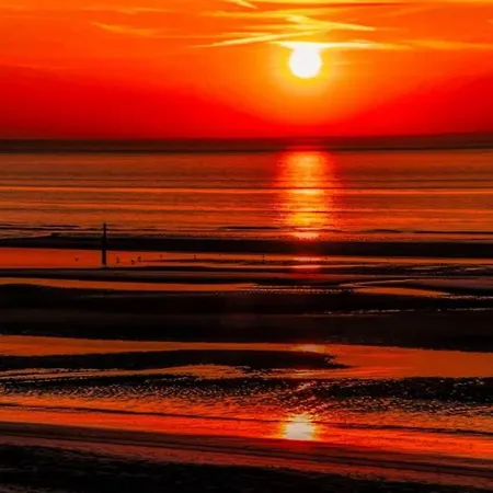 Strandvakantieappartement Zilverstrand - Met Binnenzwembad!